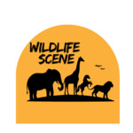 wildlife scene